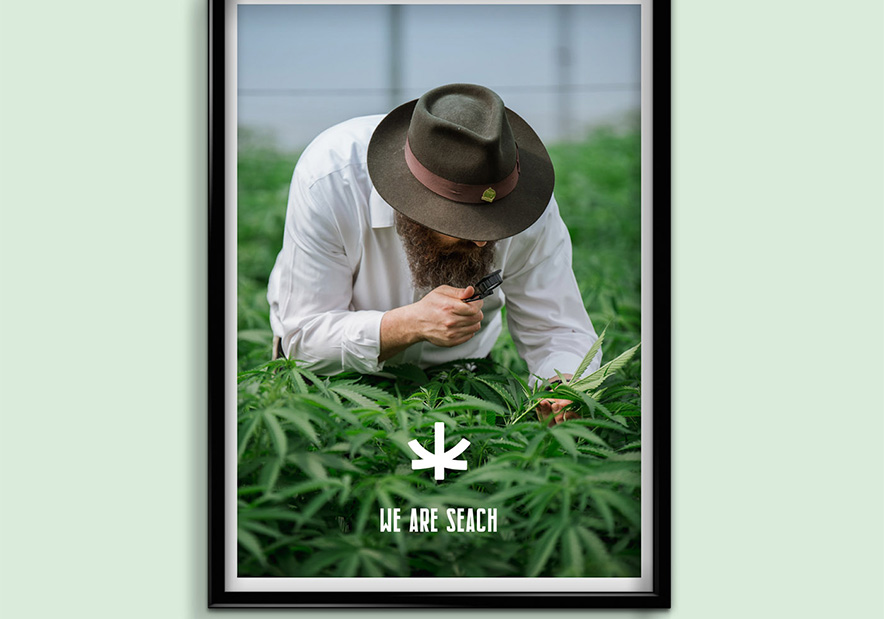 國外-南陽-醫(yī)療-VI設計-品牌設計-標志-logo設計-簡潔-海報
