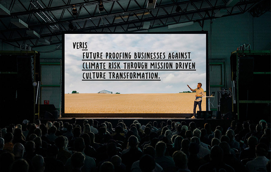 威利斯（Veris）戰(zhàn)略咨詢公司專業(yè)的vi設計與標志設計-探鳴設計公司.jpg