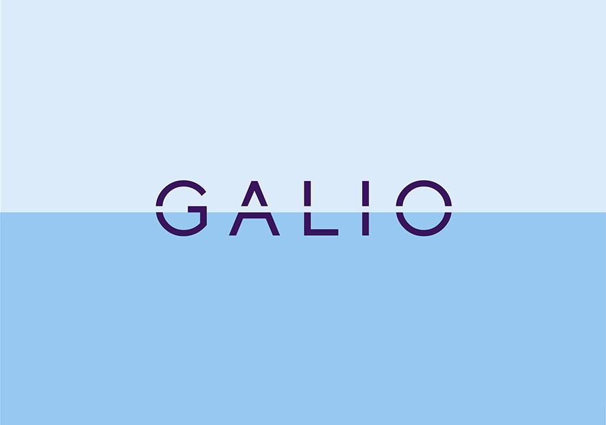 Galio集團國際房產vi設計-房產開發(fā)公司logo設計賞析-探鳴品牌VI設計公司.jpg