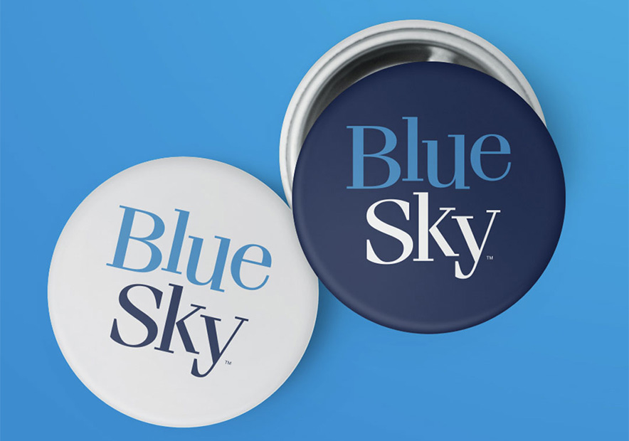 企業(yè)vi設計全套案例-藍天工作室（Blue-sky-studios）vi標志設計說明.jpg