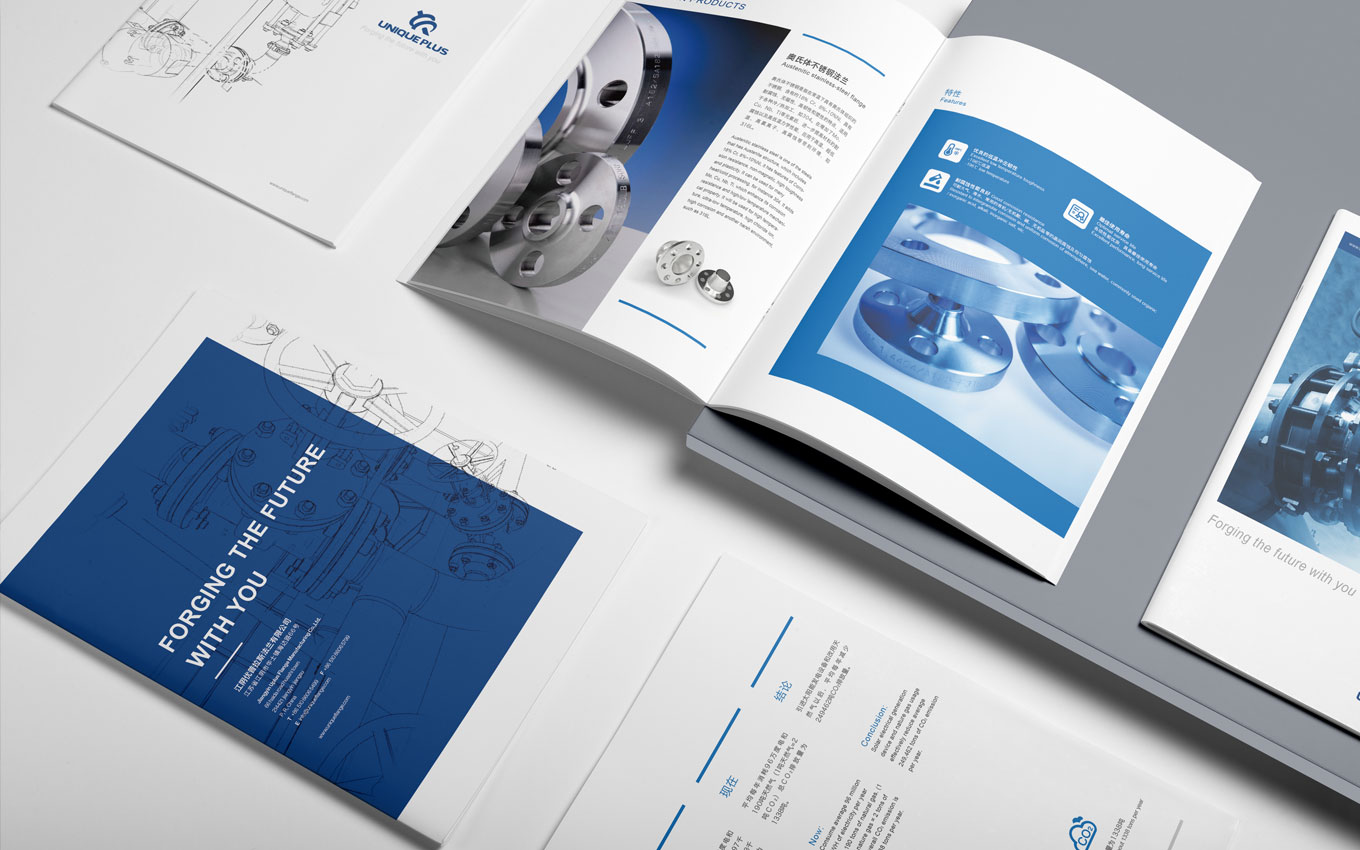 法蘭企業(yè)畫冊設計展示圖片.jpg