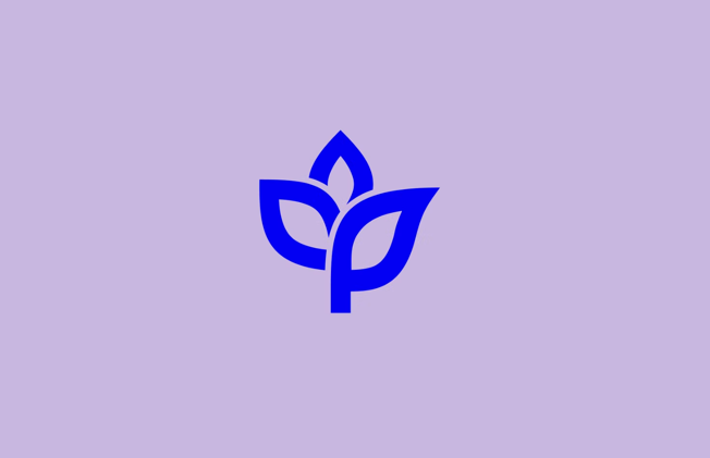 法國(guó)Ankorstore電商平臺(tái)整套VI設(shè)計(jì)系統(tǒng)與logo設(shè)計(jì).png