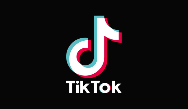 TikTok 標(biāo)志的設(shè)計元素.png
