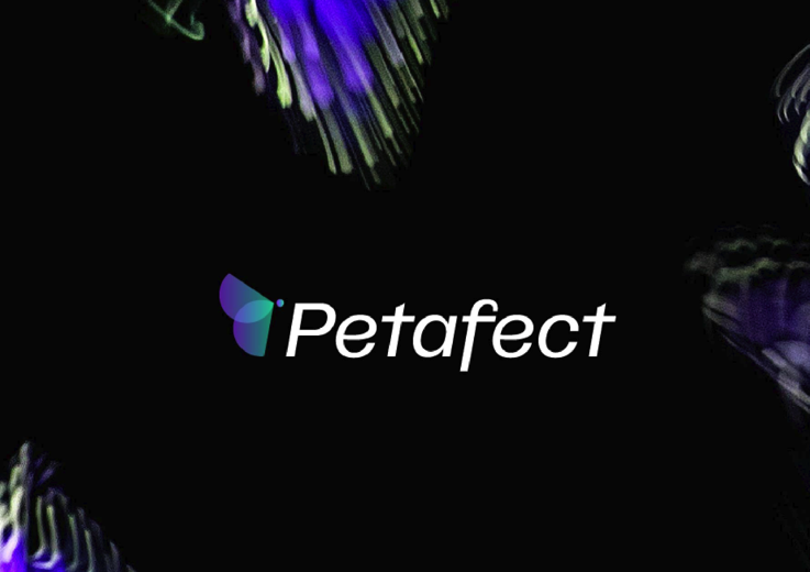 科技公司蝴蝶元素logo設計.png