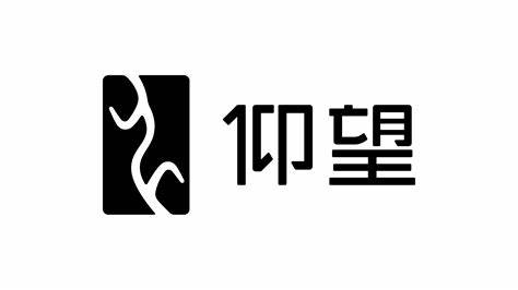 比亞迪仰望logo設(shè)計理念是什么-探鳴設(shè)計.jpeg